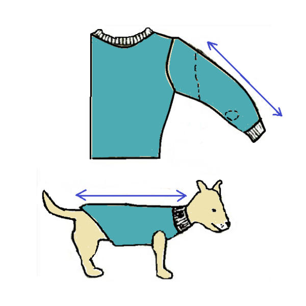 ubranie dla psa ze swetra