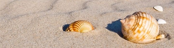 14. sierpnia mamy wolne!