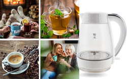 PK-2018 electric glass kettle - white