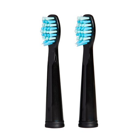 SG-516 USB travel sonic toothbrush