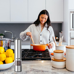 Salt, pepper and spice grinder PM-201 C