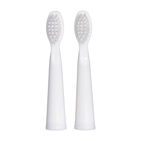 Set of sonic toothbrushes SG-515 2 pcs.