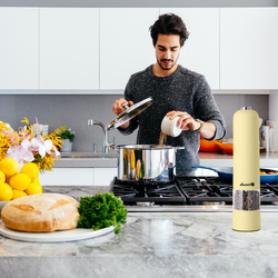 Salt, pepper and spice grinder PM-101 vanilla