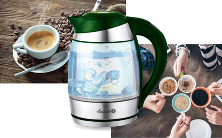 Electric kettle with temperature control WK-2020 bottle green